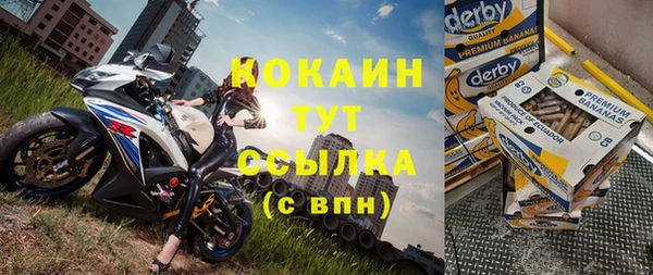 индика Магас