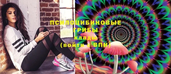 шишки Лихославль