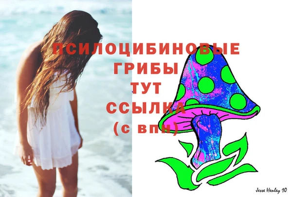 кокс Дмитровск