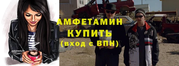 индика Магас
