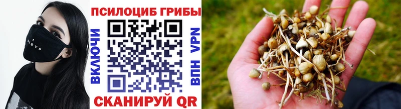 Псилоцибиновые грибы Psilocybine cubensis  ОМГ ОМГ ссылка  Давлеканово 