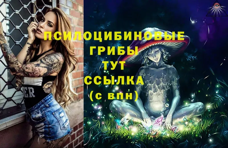 Псилоцибиновые грибы Psilocybe  Давлеканово 